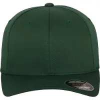 Hoedshop Flex Cap