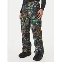 Dc-shoes Snowboardhose Code ADYTP03049 Grün Regular Fit