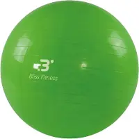 Bliss Trainingsball ohne Pumpe
