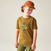 Dare 2b Dare2b Trailblz Iiitee dark cumin (ZJ2) 9-10yrs
