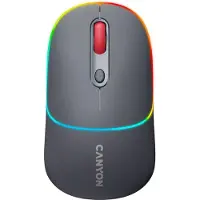 Canyon Mw 22 Funkmaus