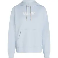 O'Neill Herren Kapuzensweat ESSENTIALS SCRIPT HOODIE