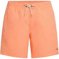 O'Neill Herren Badeshorts VERT 16'' SWIMSHORTS