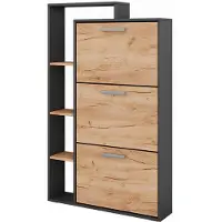 VitaliSpa Schuhkipper Orlando, Goldkraft Eiche/Anthrazit, 80 x 128.3 cm mit 3 Klappfächern