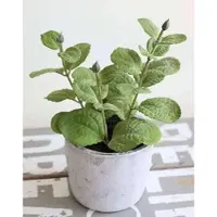 H Andreas Belles Fleurs Künstliche Minze, getopft, 19 cm, grün
