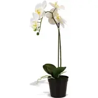 Fleur Ami Orchidee Kunstpflanze, Höhe 55 cm, weiß
