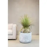 Fleur Ami Gras - Calibanus hookeri - Kunstpflanze 90 cm