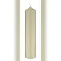 Kopschitz Kerzen Altarkerzen 10% BW Anteil (Bienenwachs Kerzen) Verde Veccio Antik Grün 250 x Ø 80 mm, 4 Stück, Kerzen mit Dornbohrung
