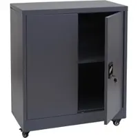 Proregal Aktenschrank Rollbar HxBxT 98x80x40 cm 2 Türen Abschließbar Stahl Dunkelgrau Büroschrank Stahlschrank Mit Rollen