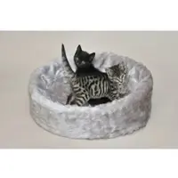 Silvio Design Katzen Ruhe- und Schlafinsel grau, ca. 50x50x12 cm