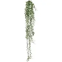 Creativ Green Kunstpflanze Mühlenbeckia-Hänger, Höhe 80 cm, 2 Stück