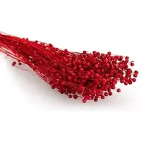 Buttinette Trockenblumen Flachs, rot