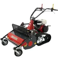 Benassi T750 HD - Professioneller Schlegelmulcher mit Y-Messern und Raupenkette - Honda Motor GX390