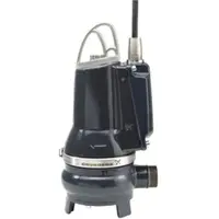 Grundfos Schmutzwasserpumpe 96877515 230 V, 10 m, Grauguss, 50.09.E.2.1.502, R 2 AG
