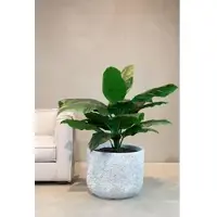 Fleur Ami Künstliche Einblatt - Spathiphyllum Pflanze
