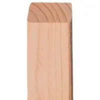 Meingartenversand.de Zaunlatte Douglasie Luzern 3 x 5 x 100 cm – Zaunlatte aus Douglasie, naturbelassen – abgeschrägte Zaunbretter – Holzlatte für Zäune