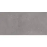 Rako Betonico Wandfliese grau 30x60 cm matt WAKVK791.1