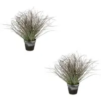 Creativ Green künstliche Pflanze Gras im Topf geeist, 45 cm, frost, 2er Set
