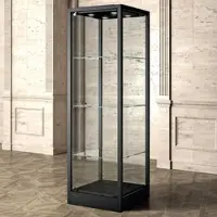 JTI-Vitrine Museum Glasvitrine Metall schwarz 60 x 200 x 60 cm