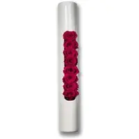 Flowerbox Infinity-Bloom Tube - weiß/berry - 40x6,5 cm