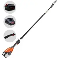 Echo DPPT-2600-LW Akku-Hochentaster eForce 56V