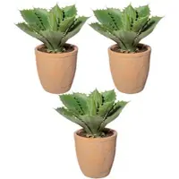 Creativ Green künstliche Pflanze Echeveria, ca 25cm, 3er Set