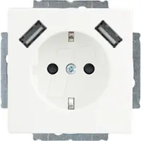 Busch-Jaeger SCHUKO-2x USB Steckdose 20 EUCB2USB-884 (2CKA002011A6277)