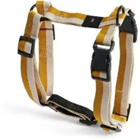 HAY - Dogs Harness Medium (White & Ochre)