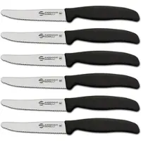 Sanelli Ambrogio Supra - Packung mit 6 Tafelmessern mit Wellenschliff, 11 cm