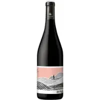 Domaine Gayda En Passant 2024 -