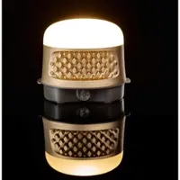 Paranocta Wireless Outdoorleuchte Bulbee mit 4 Lichtstärken