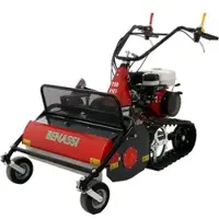 Benassi T750 SHD -Hochgrasmäher mit Hammerwerk mit Raupenantrieb - Honda Motor GX270