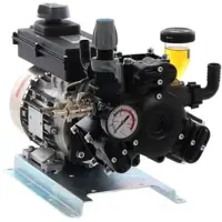 Comet Membranpumpe mit Elektroantrieb APS 31, 230V-Motor - Leistung 2 PS