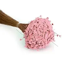 Buttinette Trockenblumen Glixia, pink