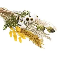 Buttinette Trockenblumen-Sortiment, gelb, grün