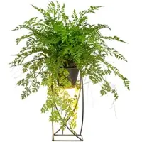 P&b Kunstpflanze Farnmix Grün/Schwarz ca. 60cm