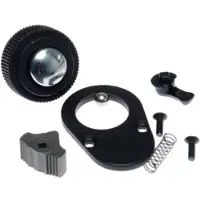 Projahn Reparatur Set zu 1/2" Umschaltknarre 39012900 40 Zähne