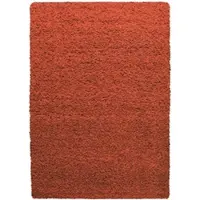 KADIMA DESIGN Teppich Hochflor Unifarben Polypropylen Wohnzimmer Shaggy Terrakotta Rechteckig 240x340 |