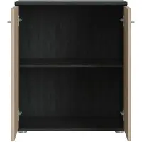 CARO-Möbel Kommode Sideboard Schrank TOMMY Esche grau/Sonoma Eiche, Anrichte mit 2 Türen inklusive Einlegeboden