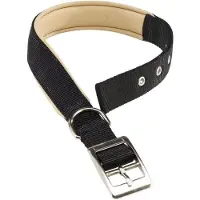 Ferplast Hundehalsband Daytona 45 x 2,5 cm Stahl/Nylon schwarz