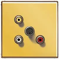 JUNG Mutimedia-Einsatz Cinch Audio/Composite Video/S-Video (Gold)