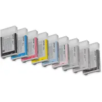 Epson T6036 Vivid Light