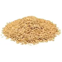Einzelsaaten Gelbe Leinsaat 25kg