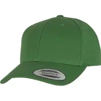 Flexfit Curved Classic Snapback - 1666