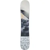 Head Snowboard TRUE 2.0 ice