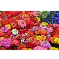 Papermoon Fototapete "Blumenmeer", bunt, B:2,5m L:1,9m, Vlies, Tapeten, Fototapete