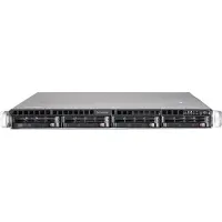 Bluechip SERVERline R31309s