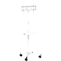 Gembird TV SET ACC FLOOR STAND 32-55"/TVS-55T-03-W