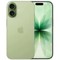 Apple iPhone 17 256GB Salbei