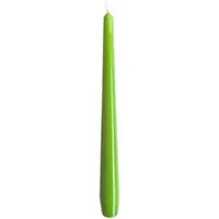 Kopschitz Kerzen Gelackte Spitzkerzen Limonegrün 290 x Ø 23 mm, 12 Stück